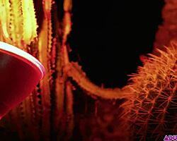 Lelaki Hitam Ambil Virgin Twink Rambut Merah