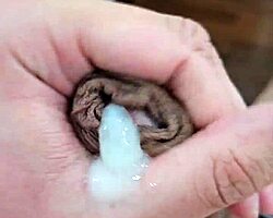 hey, voce gostaria de chupar meu penis agora?