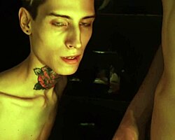 ever tried a wonder glory hole for some wild twink fun with blowjobs?