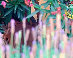 ซัมเมอร์น้ำแตก สองหนุ่มน้อยซนๆ ระเบิดความเสียวที่แคมป์! 😜