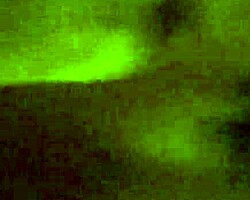 Dua lelaki biseksual hisap dan creampie dalam aksi anal amatur