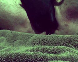 Hetero Osofroze97 prsti deviško rit na webcamu za punco.