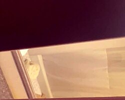 Cock, Teen, Young, Twink, Masturbation, Softcore, Straight