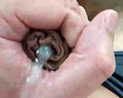 Hei, Nak Tengok Batang Besar Budak Brazil Ni Beraksi?